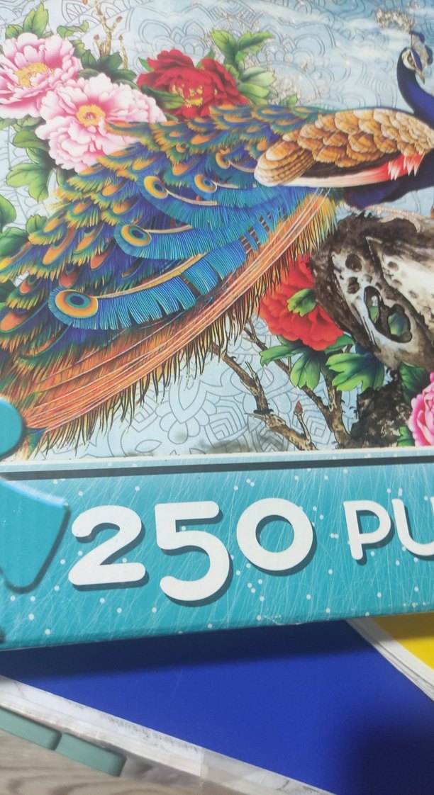 250 Parça Renkli Tavuskuşu Puzzle - Görsel 2