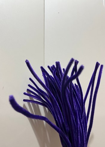 50 li mor şönil - Görsel 2