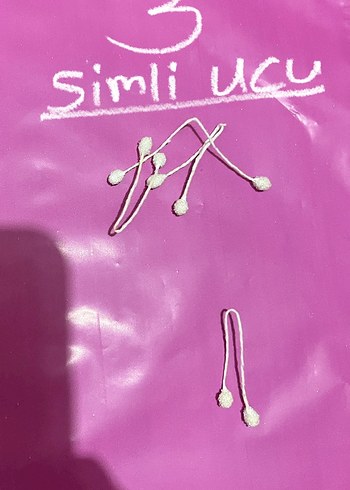 Şönil Çiçek tomurcuğu - Görsel 4