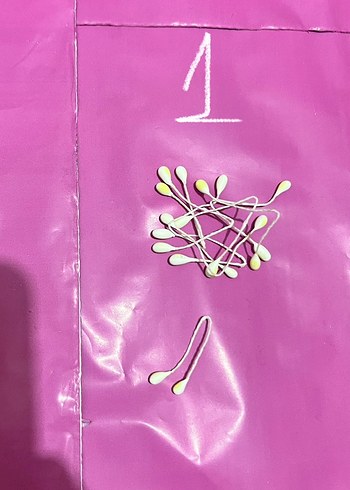 Şönil Çiçek tomurcuğu - Görsel 2