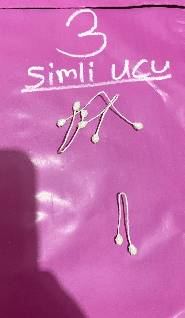 Şönil Çiçek tomurcuğu - Görsel 4