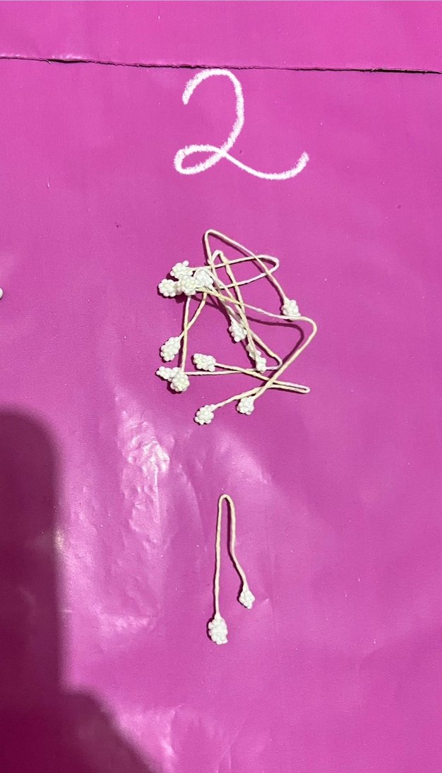 Şönil Çiçek tomurcuğu - Görsel 3