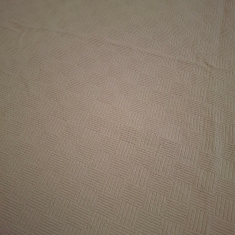 Beyaz pike - Görsel 3