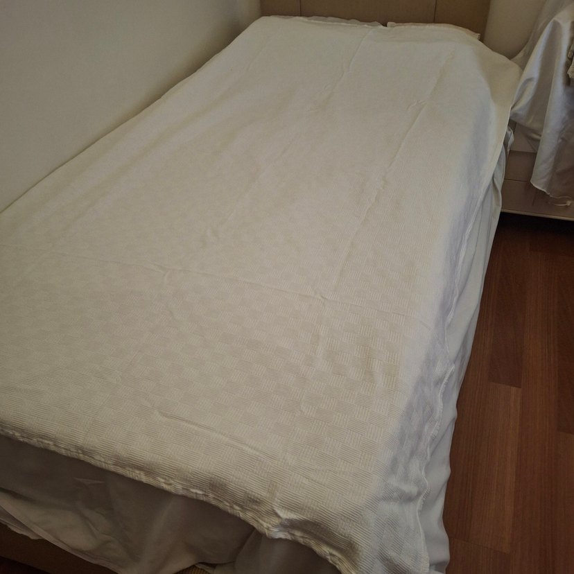 Beyaz pike - Görsel 2