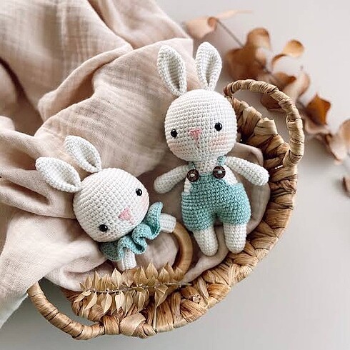  Beden Renk Amigrumi set