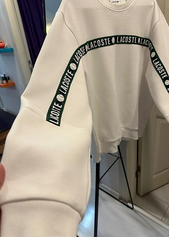 Lacoste Orjinal Lacoste sweat