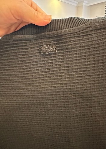 Gri Spor Tarzı Erkek Rozet Lacoste - Görsel 2