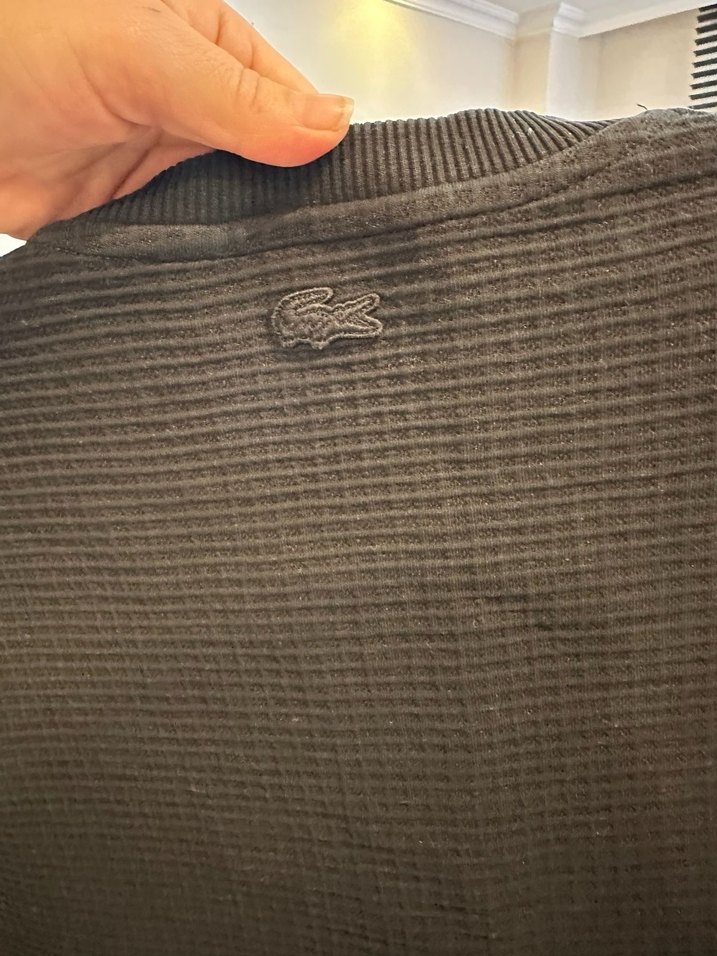 Gri Spor Tarzı Erkek Rozet Lacoste - Görsel 2