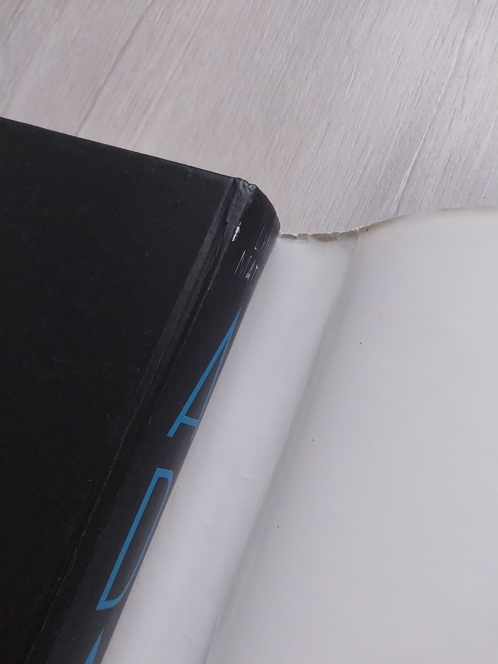 Ciltli Ada Lynne Matson - Görsel 4