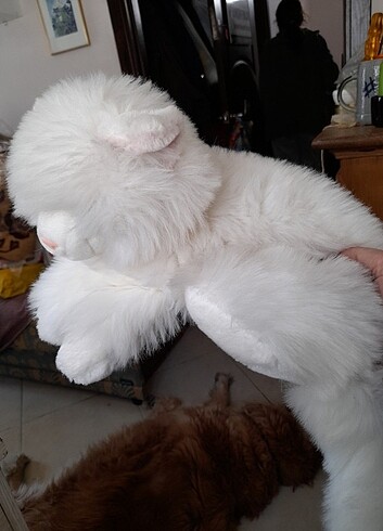 Beden Pakize kedi peluş