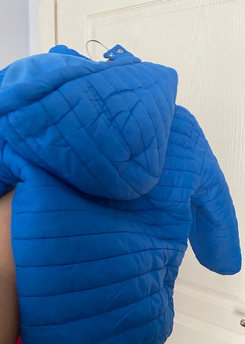 Parlak Mavi Erkek Çocuk Fermuarlı Mont - Görsel 4