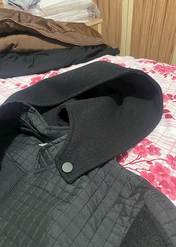 siyah kaban - Görsel 6