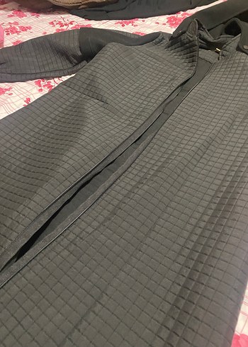 siyah kaban - Görsel 2