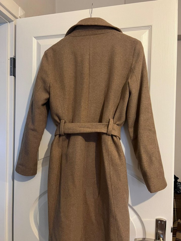 Kahverengi Kuşaklı Kaban - Görsel 2