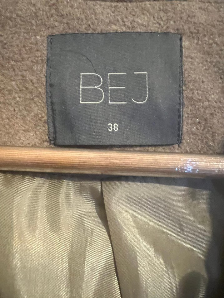 Kahverengi Kuşaklı Kaban - Görsel 3