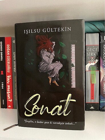 Sonat Işılsu Gültekin