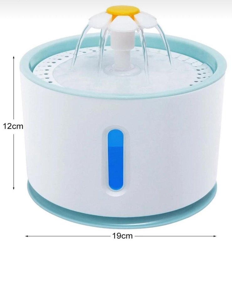 Gri Kedi Su Pınarı - Görsel 4