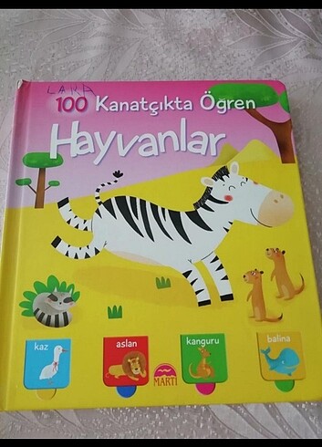 100 kanatçıkta öğren