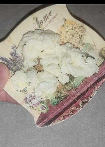 Kefir mayası 