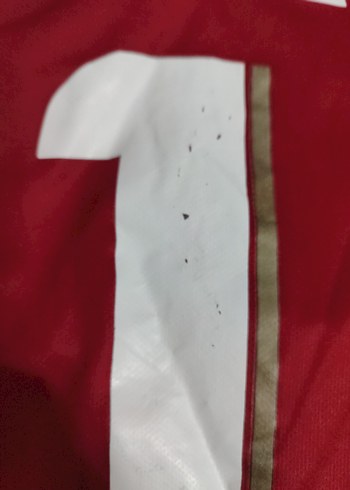 Galatasaray Kısa Kollu Erkek Forma - Görsel 8