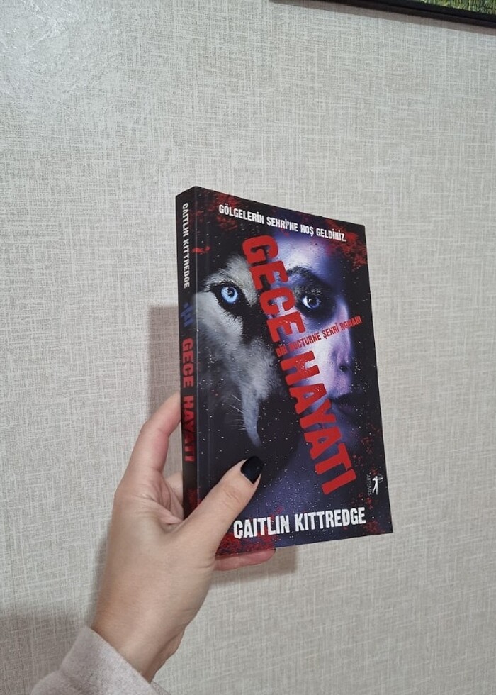 caitllin kitredge serisi - Görsel 3