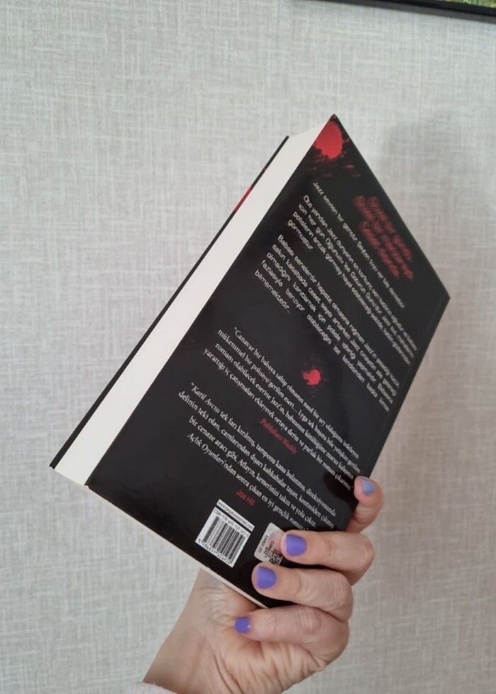 Katil avcısı - barry lyga - Görsel 2