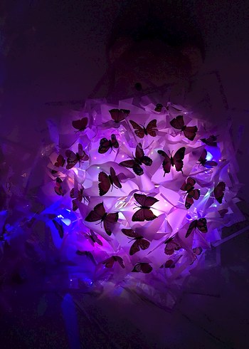 Kelebek Buketi - Görsel 2