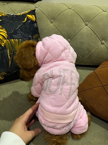 köpek kıyafeti