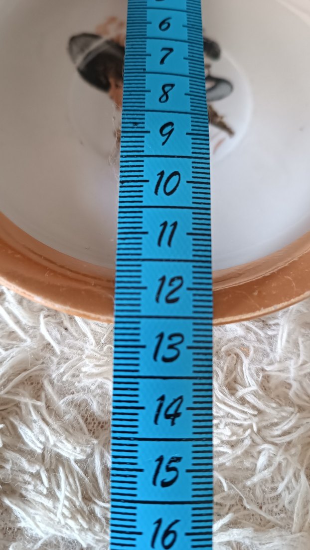 Vintage Dekoratif Tabak - Görsel 4