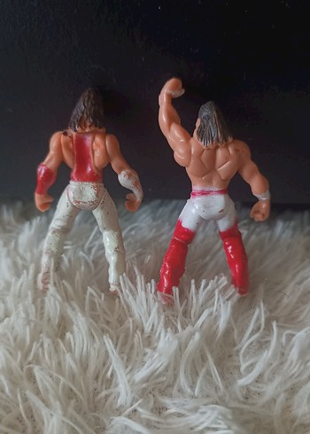 WWE WWF Güreşçi Mini Figürler (2 Adet)