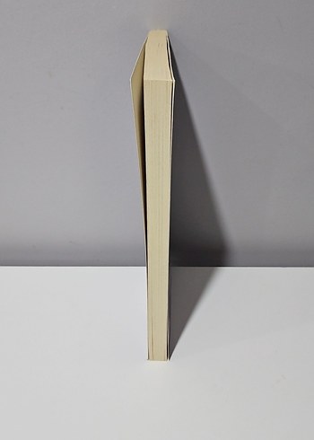 Seda Çakır - Halbuki Sağı Bir Zangoç Kadar Kedersizdik - Görsel 2