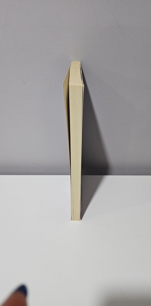 Seda Çakır - Halbuki Sağı Bir Zangoç Kadar Kedersizdik - Görsel 2