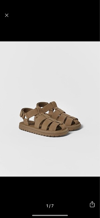 Zara cage