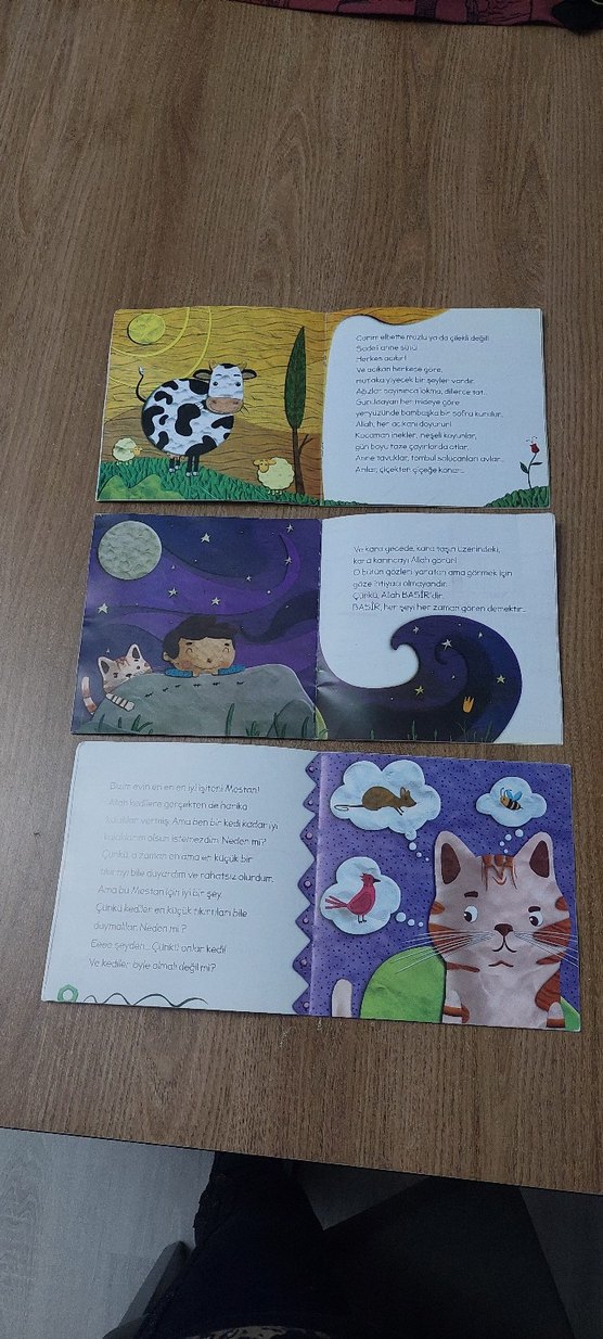 Allah'ın Güzel İsimleri - Çocuk Kitapları Seti 3 adet - Görsel 3