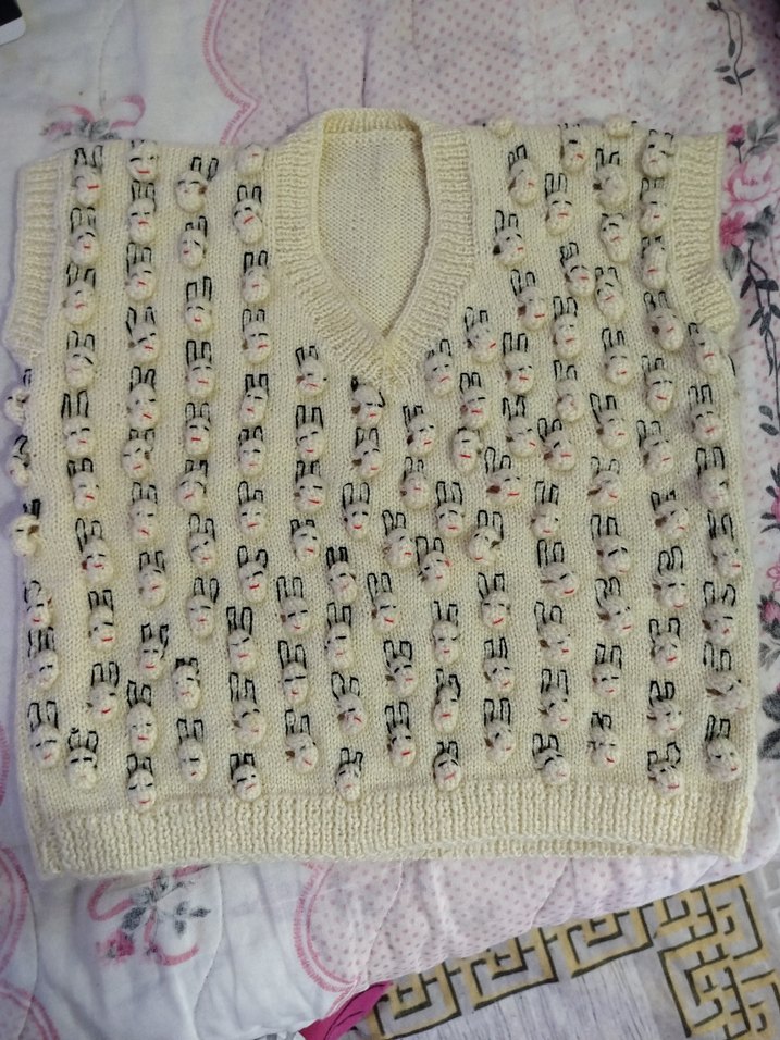 Nakışlı V Yakalı Kısa Triko Süveter - Görsel 2