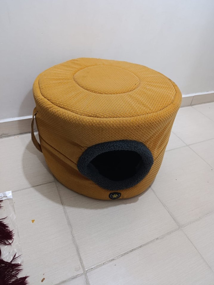 Sarı Kedi Yuva Evi - Görsel 3