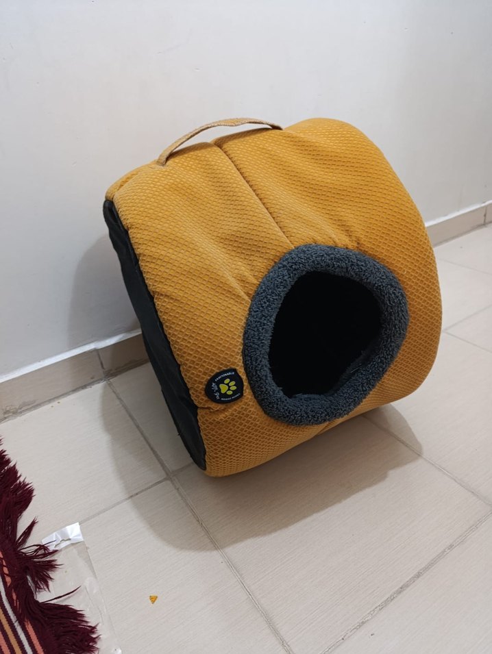 Sarı Kedi Yuva Evi - Görsel 4