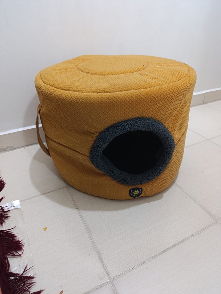 Sarı Kedi Yuva Evi - Görsel 2