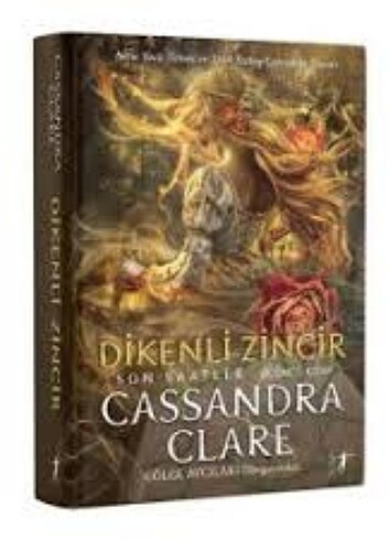 Dikenli zincir/altin zincir / demir zincir /cassandra clare