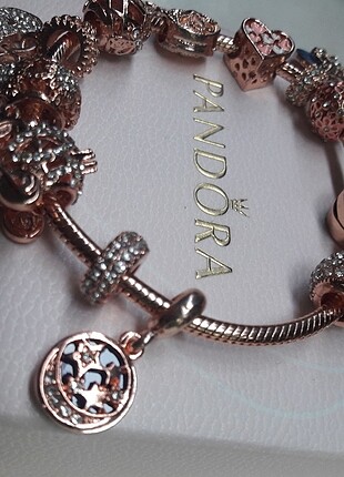 Pandora pandora uyumlu kaplama charm çşt