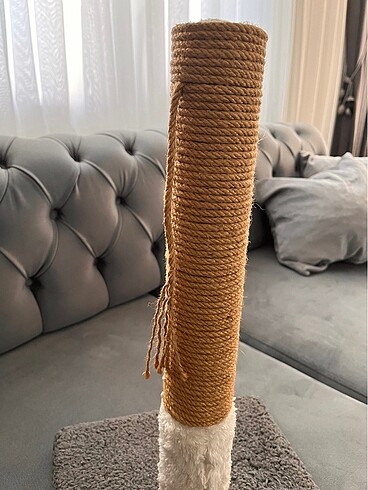 Beden KEDİ TIRNAK KAŞIMA APARATI