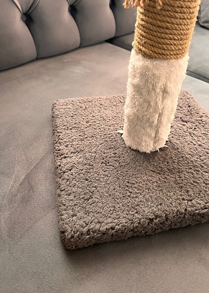 KEDİ TIRNAK KAŞIMA APARATI - Görsel 2