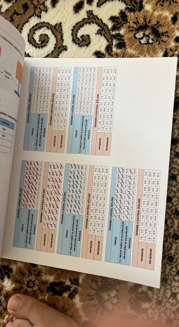 8. Sınıf 5 Li deneme - Görsel 3