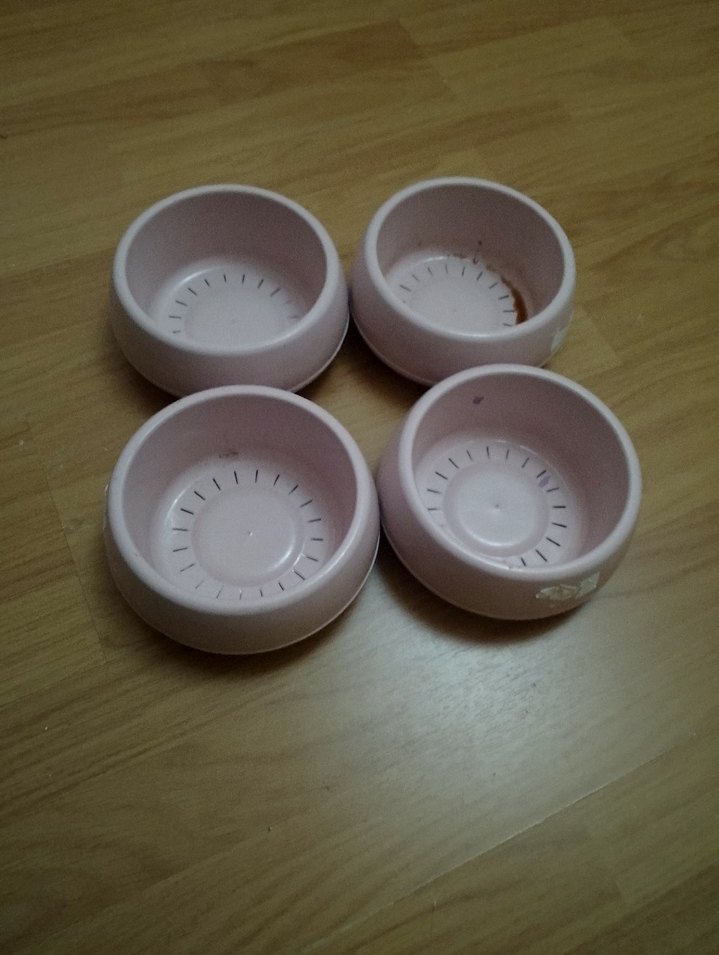 Pastel Pembe Seramik Kase çiçek saksisi - Görsel 2