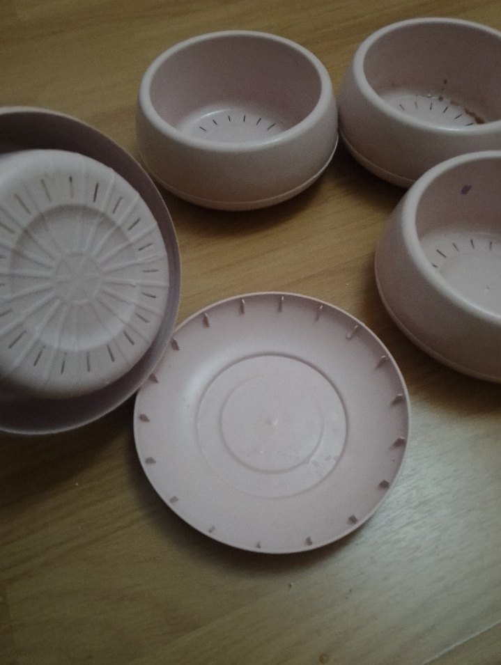 Pastel Pembe Seramik Kase çiçek saksisi - Görsel 5