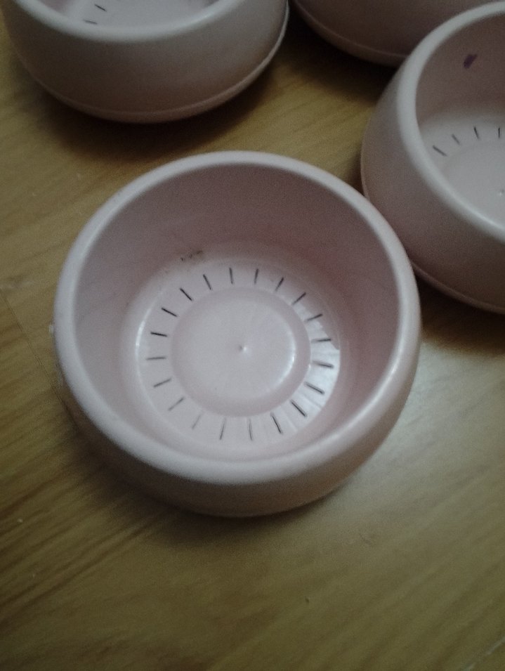 Pastel Pembe Seramik Kase çiçek saksisi - Görsel 4