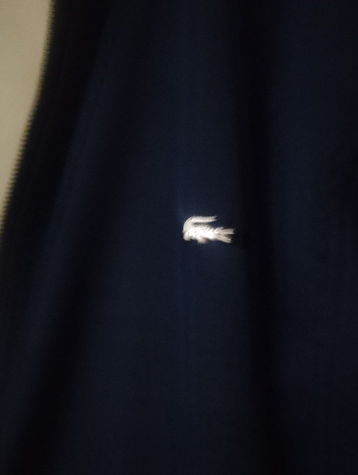 Mavi Düğmeli Erkek Midi Boy Ceket - Görsel 2