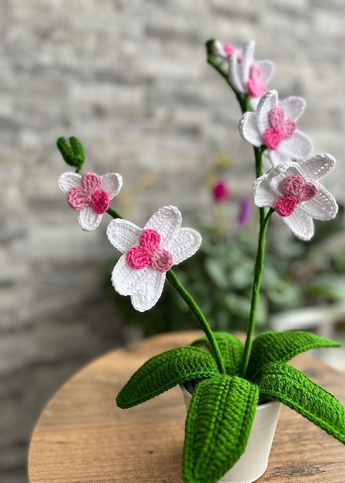 Örgü orkide - Görsel 2