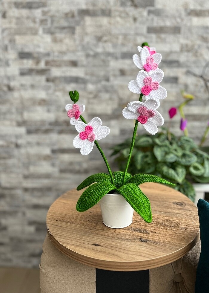 Örgü orkide - Görsel 3