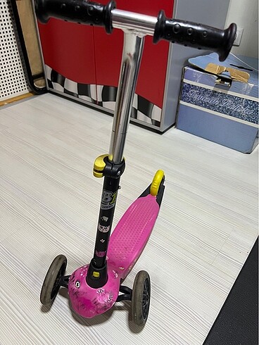 Scoter